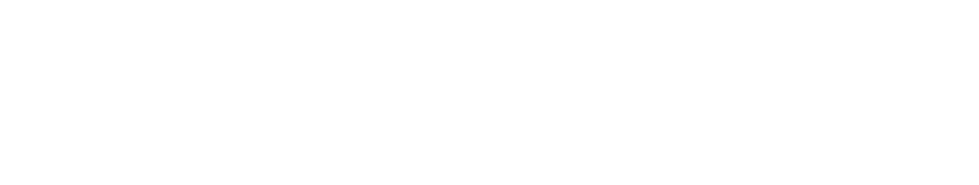 Narrative Capital